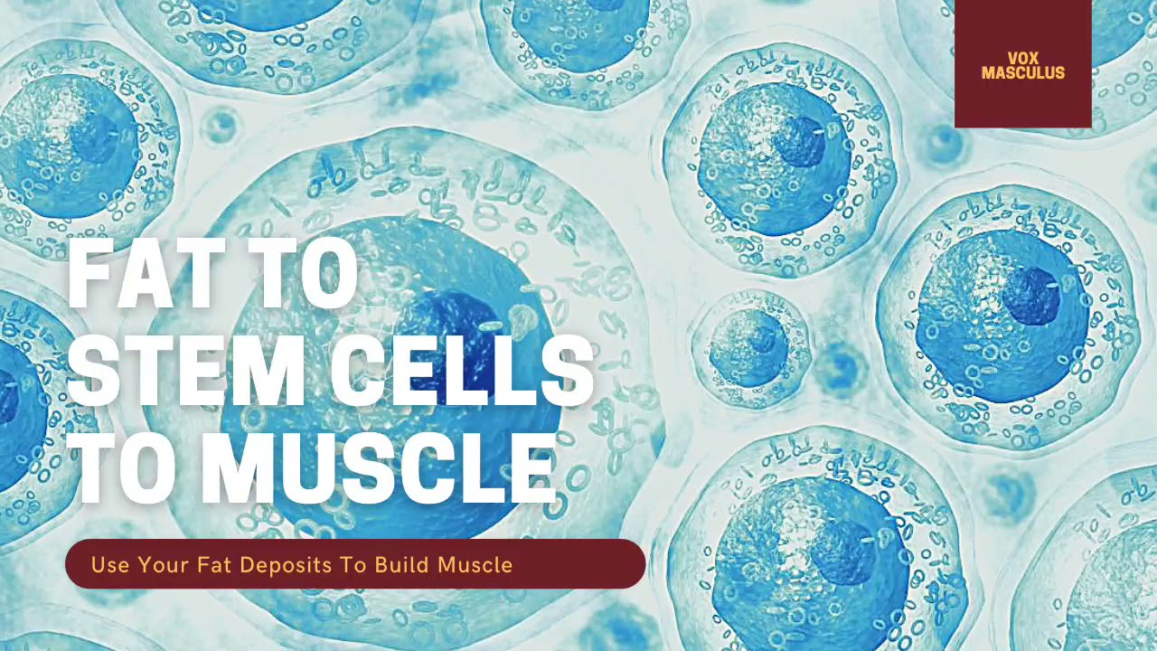 Fat to Stem Cells to Muscle | Powerful Subliminal