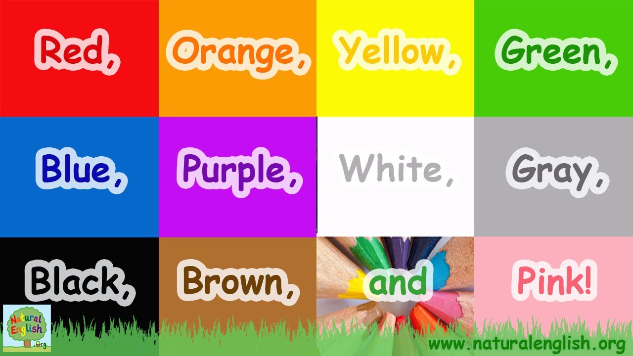 The Colors Song ~ Learn the Colors / Colours ~ LEARN ENGLISH with Natural English ~ LEARN VOCABULARY
