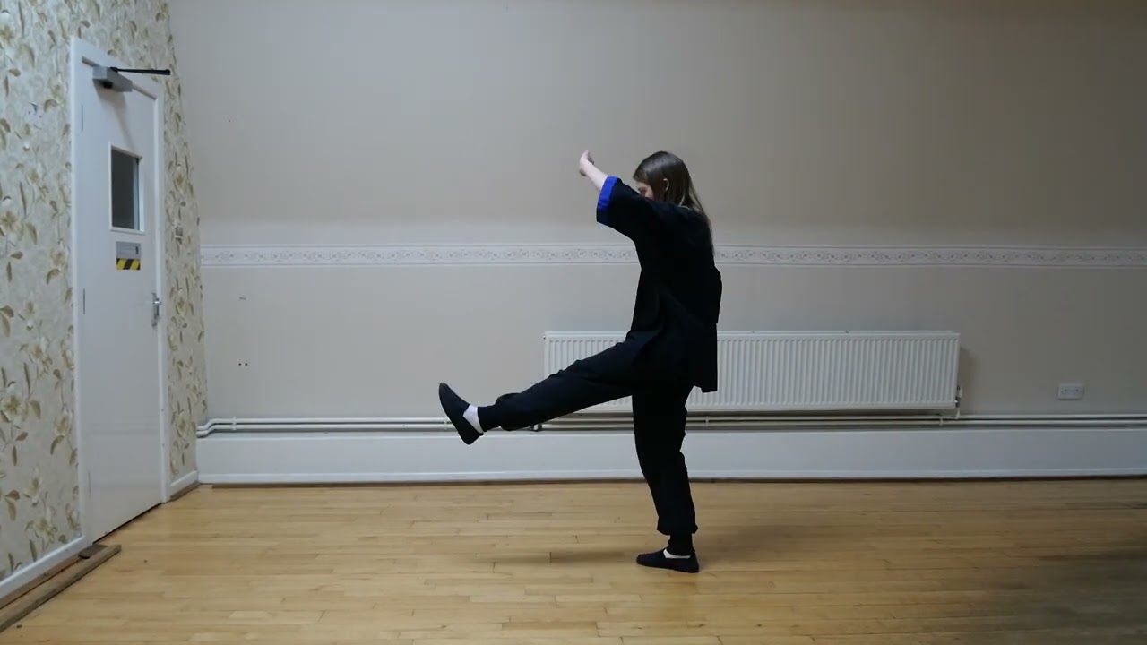 Li Style Tai Chi Fei Shou moves 1 to 20