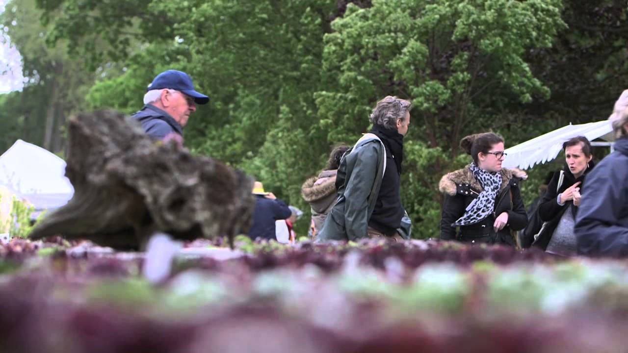 Beervelde : les plantes à la fête