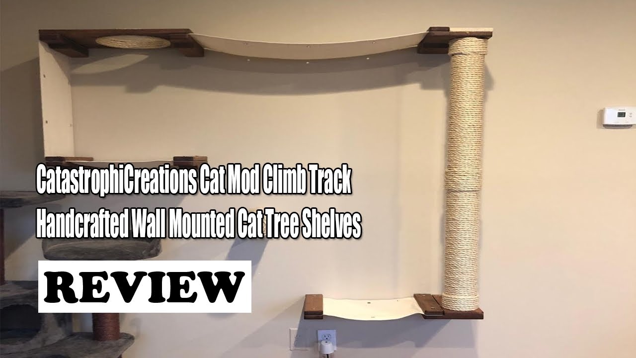 Elevate Your Cat's Playtime: CatastrophiCreations Climb Track Review 2024