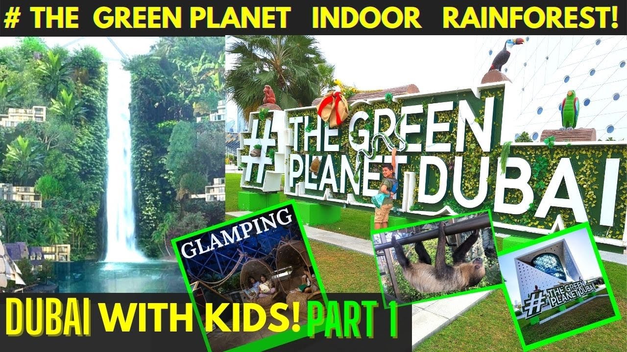 THE GREEN PLANET DUBAI Complete Tour at City Walk | PART 1 | Exotic Birds | Artificial Rainforest