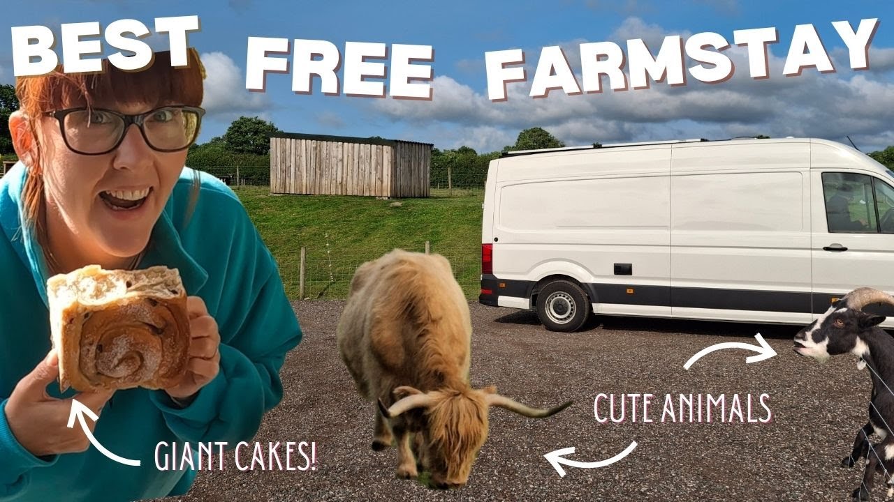 Vanlife in Cornwall  Epic FREE farm stay