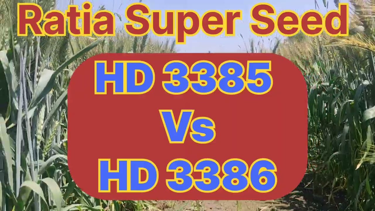 HD 3385 Vs HD 3386/HD3385 hd3406 pbw872