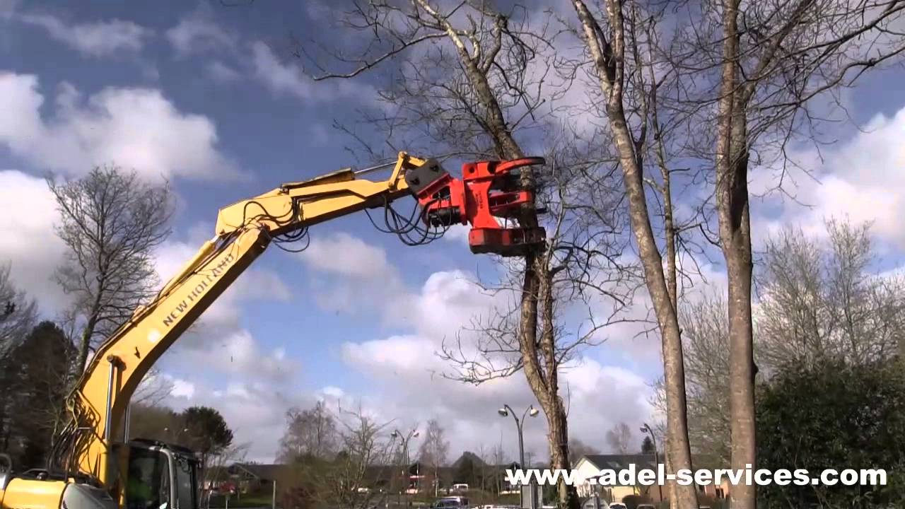 Adel Services - Notre matériel: les pelles sécateurs