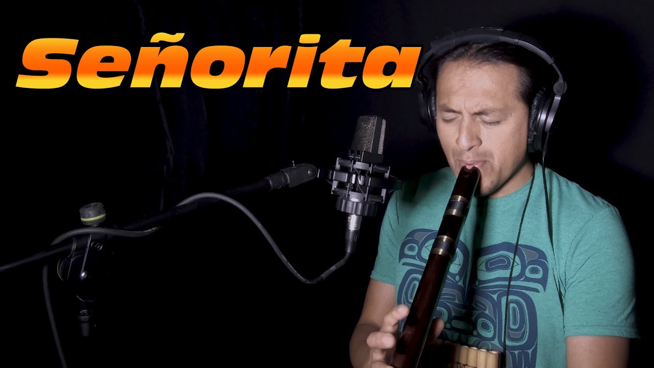 Shawn Mendes, Camila Cabello - Señorita || Flute Instrumental