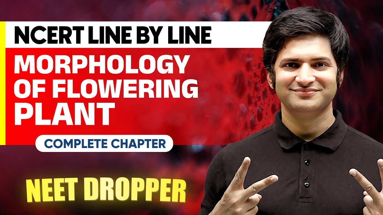 MORPHOLOGY OF FLOWERING PLANTS in 1 Shot | NCERT Line by Line | BOTANY Chapter 5 | NEET
