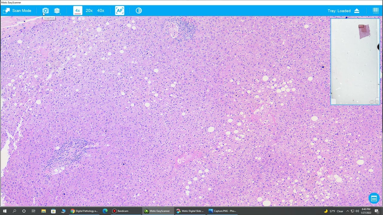 Motic EasyScan Remote Microscope & Slide Scanner - Complete Overview