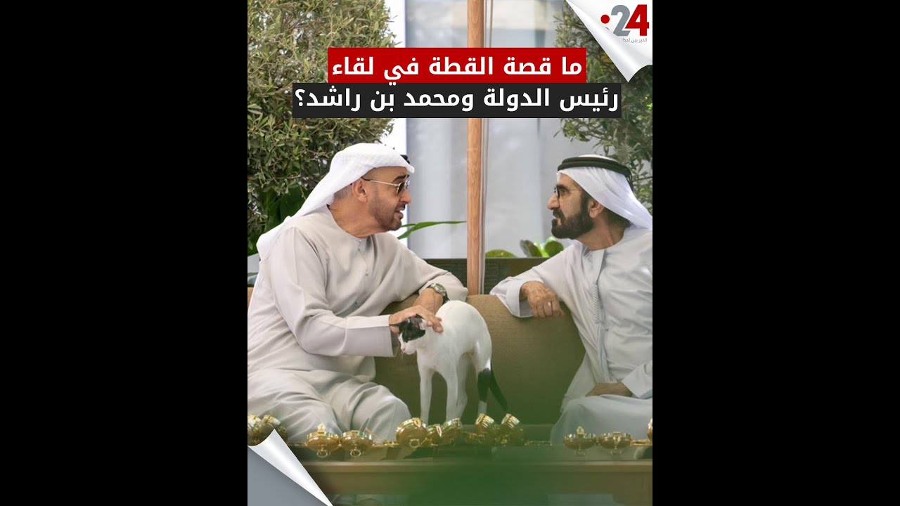 ما قصة القطة في لقاء رئيس الدولة ومحمد بن راشد؟