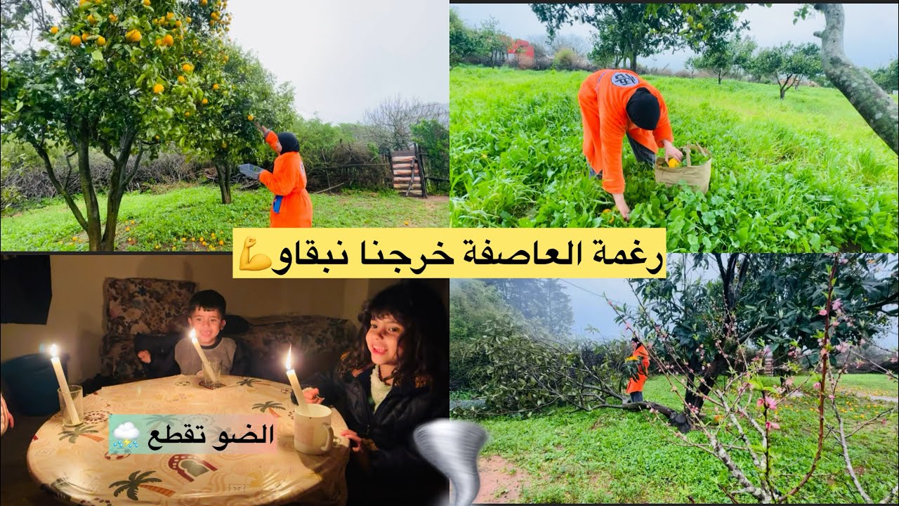 روتين شتوي⛈️وخى الشتاء خرجنا نقطعو البقالة💪الشجار طاح😥رجعنا 20سنة لور⛈️