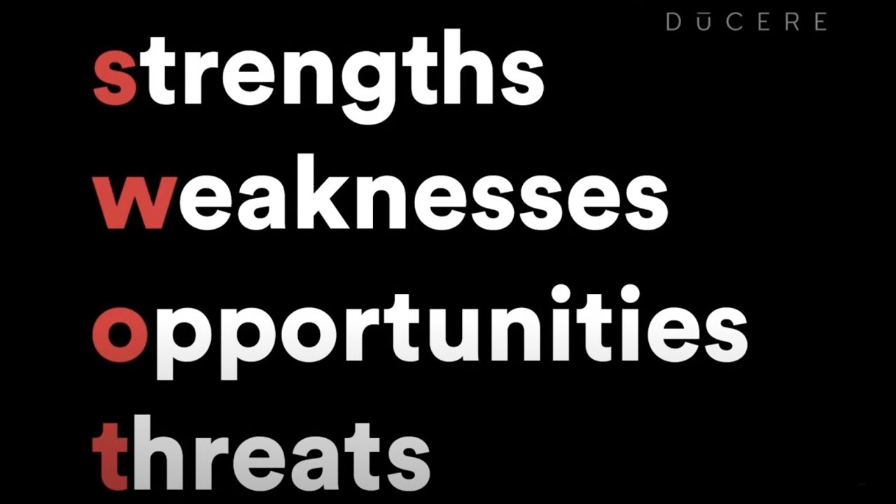 SWOT Analysis &ndash; Swot makes Netflix so successful anyway?