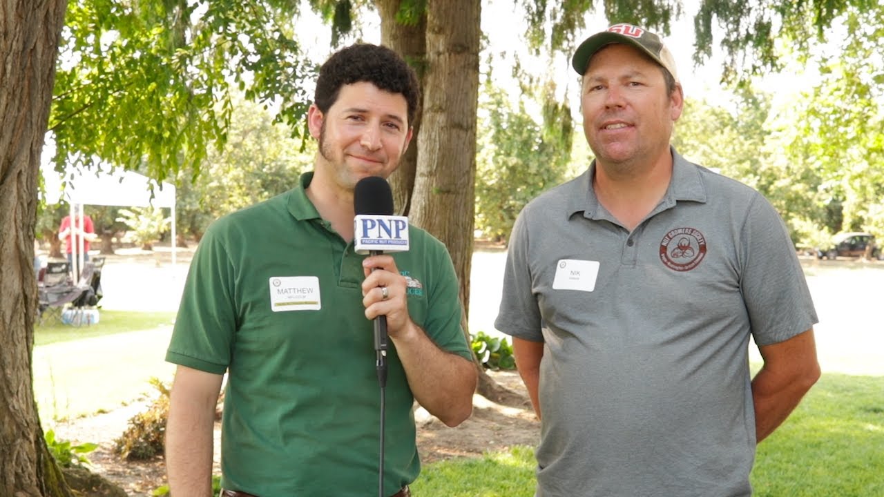 2nd Summer of High Temperatures Takes Toll on Oregon Hazelnuts