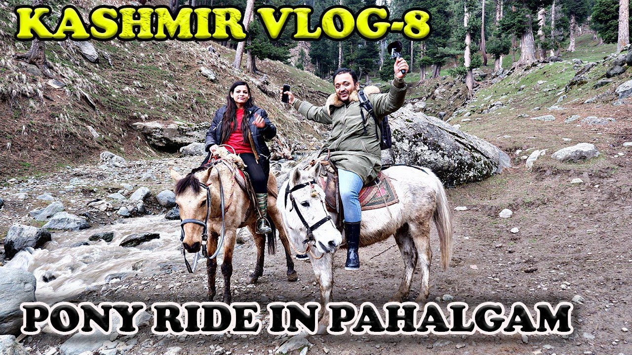 Kashmir Tour | Pahalgam Vlog Ep 08 | Pony Ride in Pahalgam | Baisaran Valley Kashmir