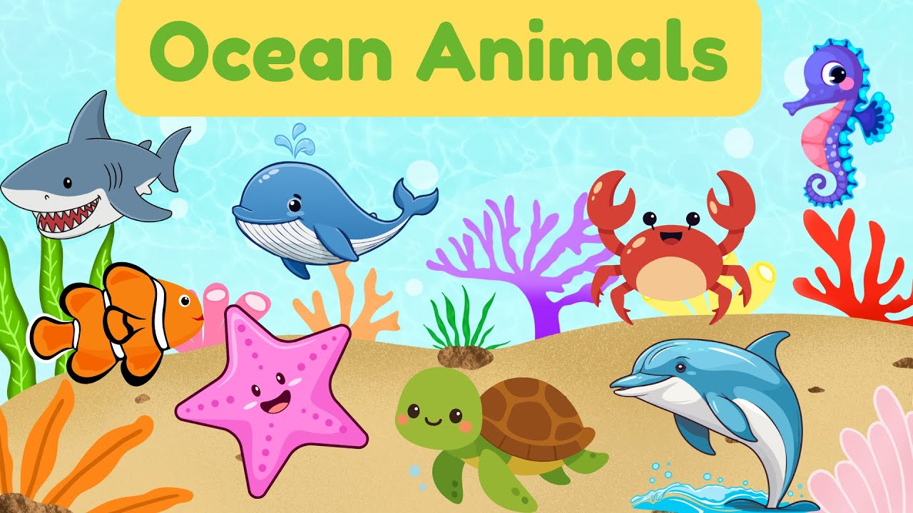 OCEAN ANIMALS / SEA ANIMALS / OCEAN ANIMALS NAME IN ENGLISH