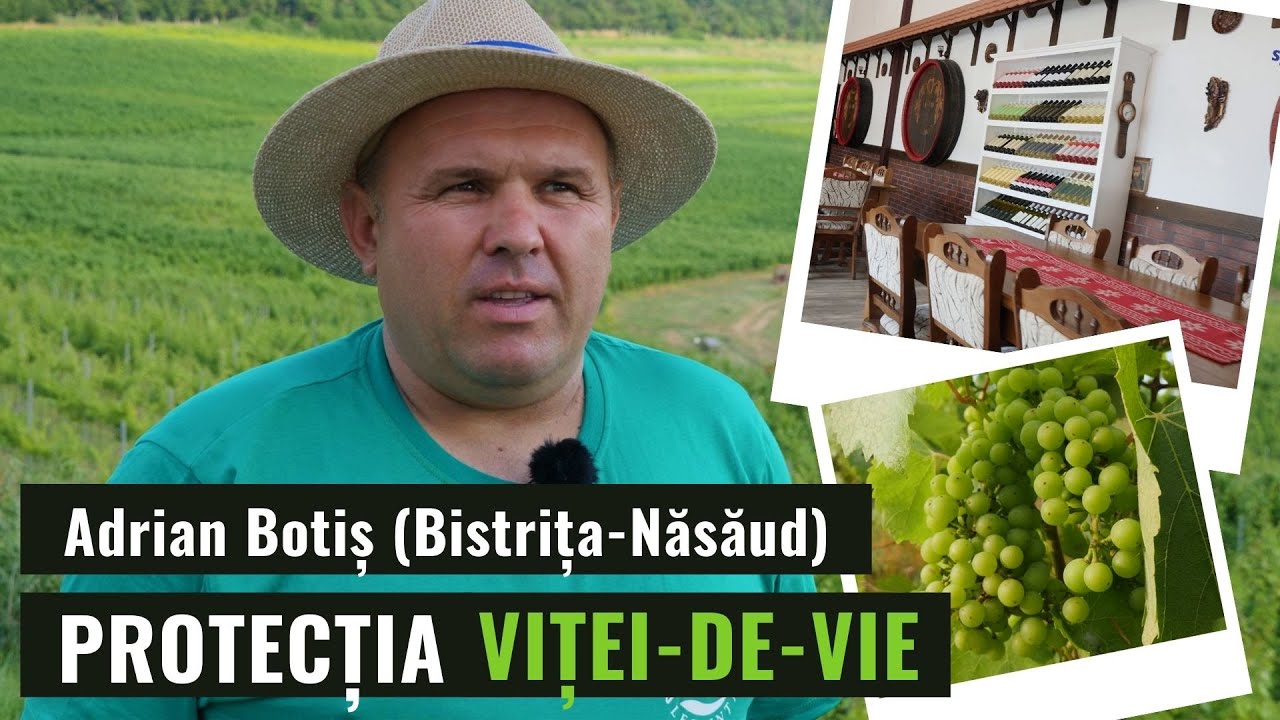 Experienţa viticultorului Adrian Botiş cu produsele Syngenta