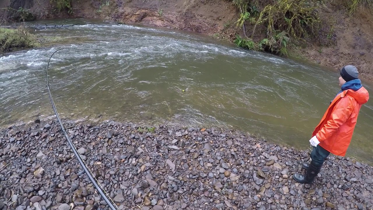 小河钓大鱼（small river big steelhead battle)