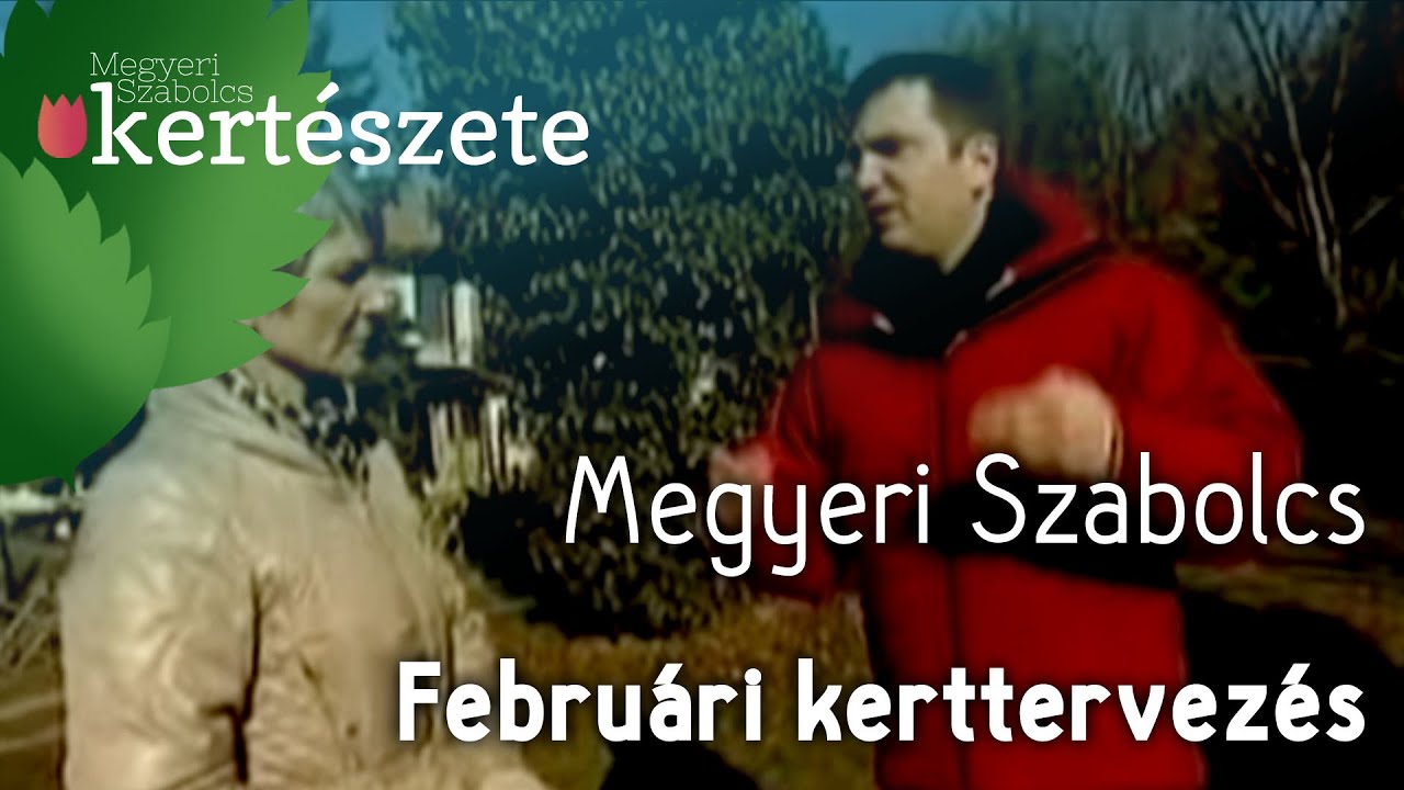 Febru&aacute;ri kerttervez&eacute;s - Megyeri Szabolcs kert&eacute;szm&eacute;rn&ouml;k Kert&eacute;szet Pest megye