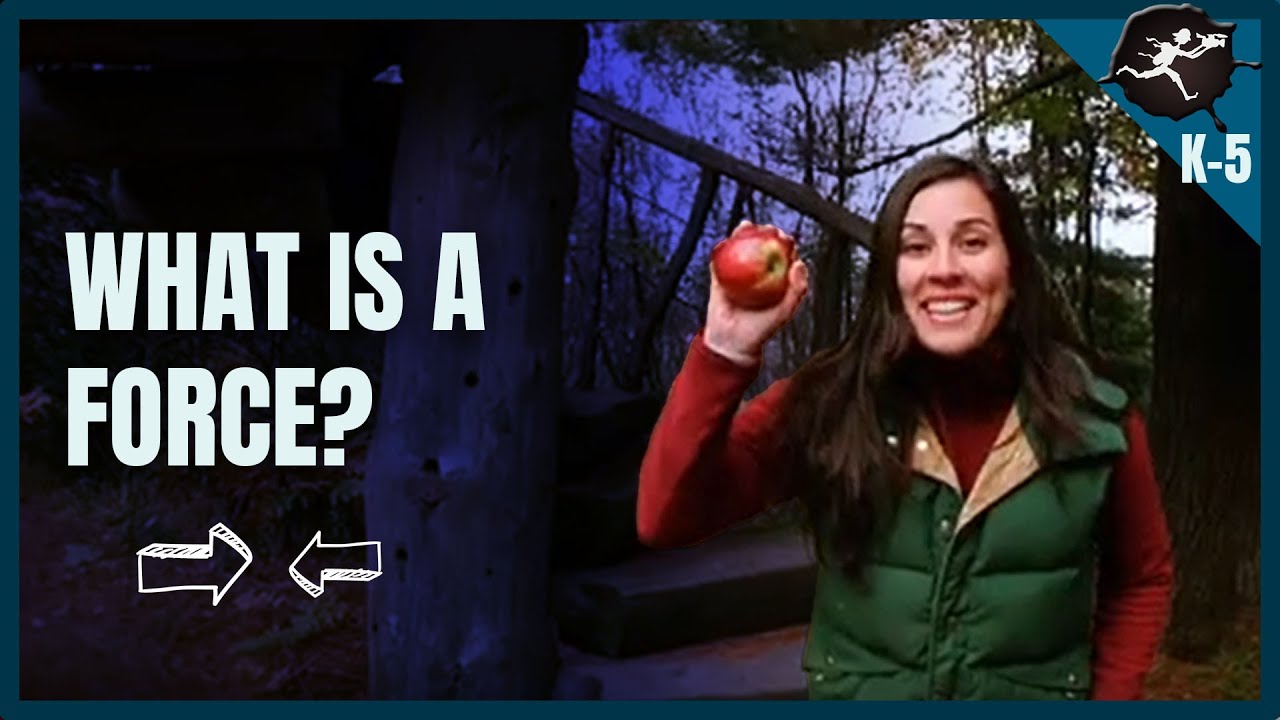 What are Forces? K-2. K-5 Science Music Videos by Untamed Science