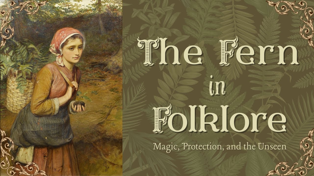 The Fern in Folklore