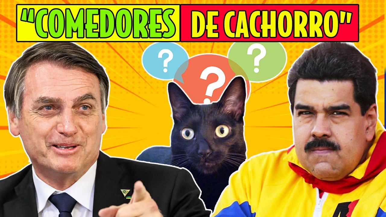 Venezuelanos comem cachorro e os piores vídeos da semana | Galãs Feios
