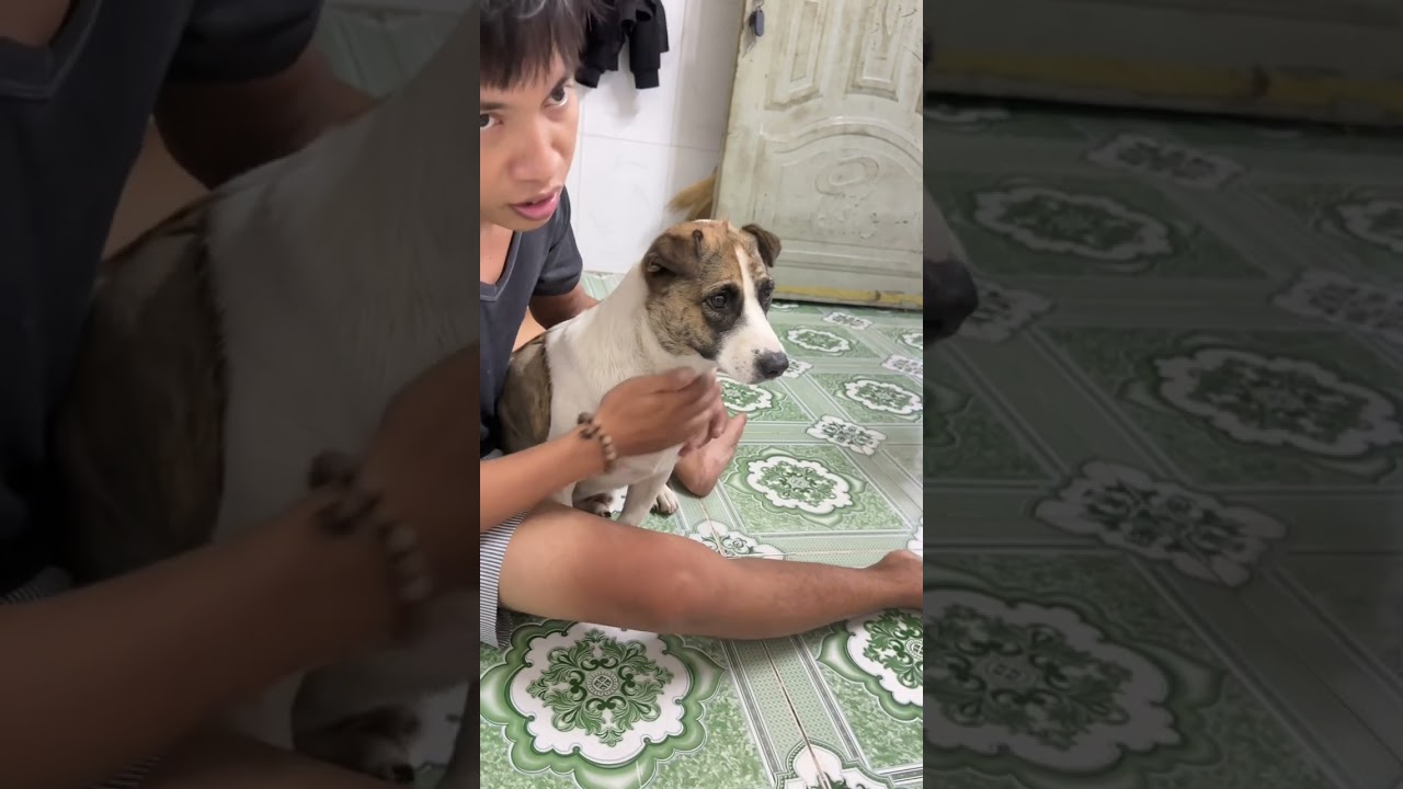 Bữa cơm bất ổn của cậu tý 
