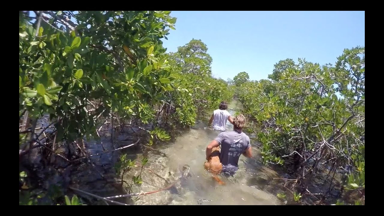 Secret Spring in Bimini