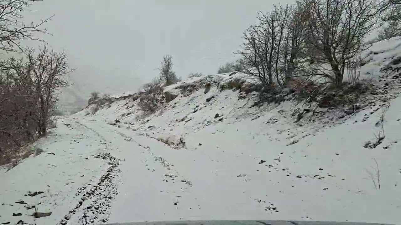 Qarlı yollar gəlib düşdü araya...