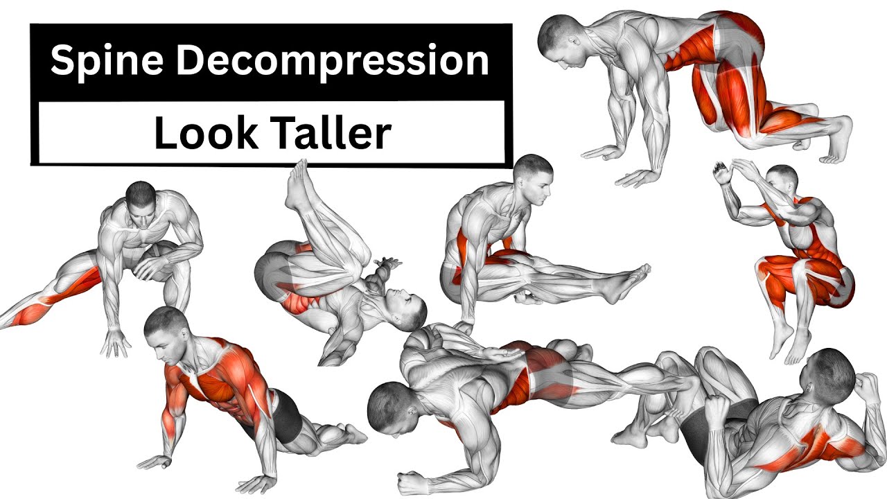 Spine Decompression Exercises | Look Taller & Reduce Back Compression