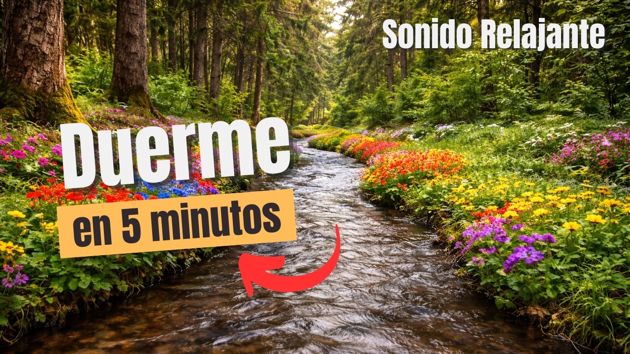 SONIDO DEL AGUA FLUYENDO EN EL RIO PARA DORMIR 🌲🌊 / WATER SOUND IN THE RIVER FLOWING TO SLEEP 🌲🌊