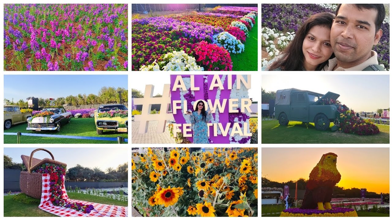 Al Ain-এর রঙিন ফুলের স্বর্গে একটি বিকাল😊, Al Ain Flower Festival🌼🌸 