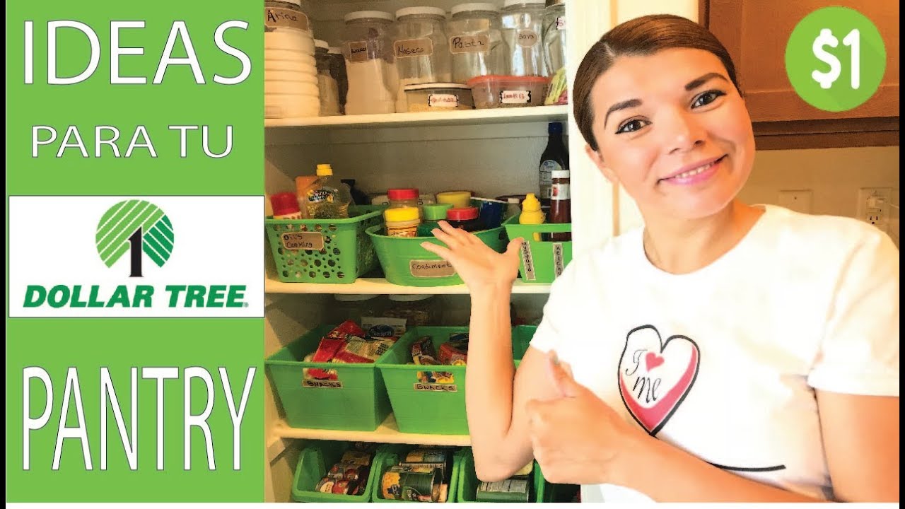 Ideas para Organizar la Alacena de tu Cocina- Dollar Tree  Kitchen Pantry  Tips