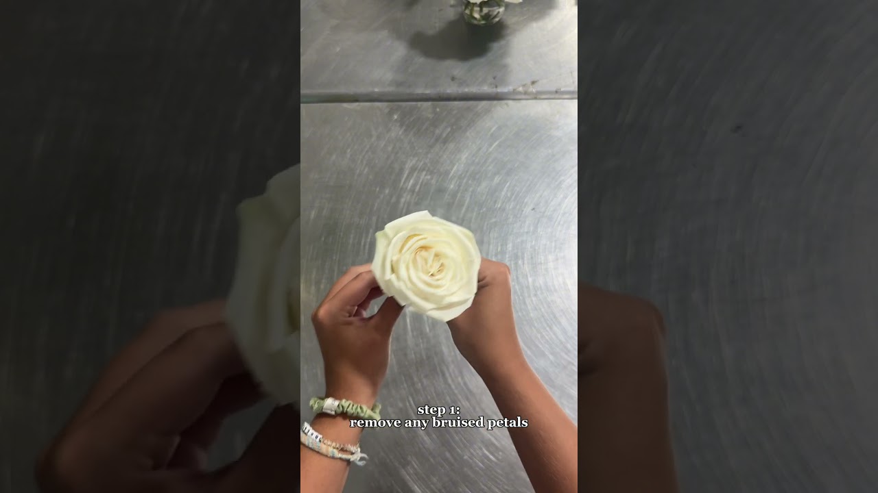 HOW TO REFLEX ROSE PETALS