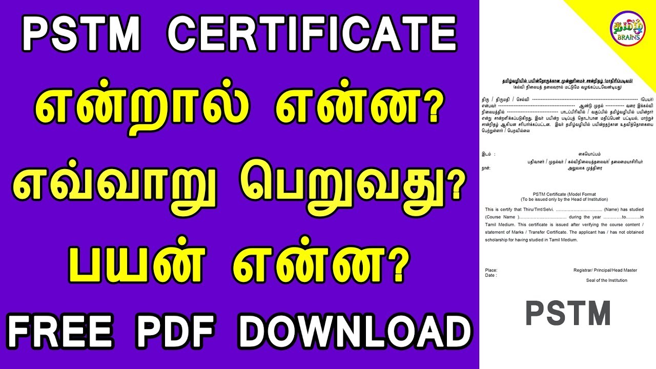PSTM CERTIFICATE என்றால் என்ன? | PERSON STUDIED IN TAMIL MEDIUM | TAMIL BRAINS