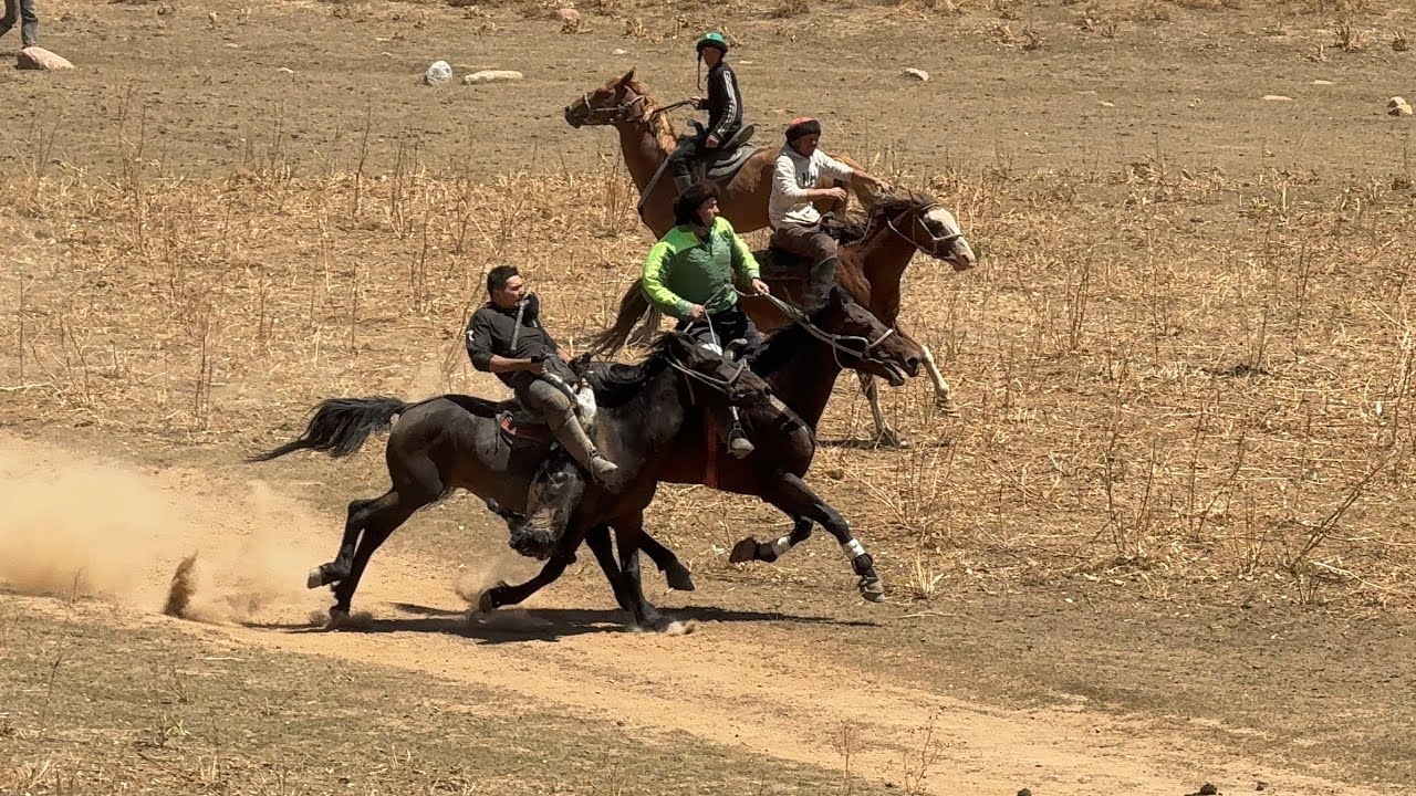 ARASHAN BULOQDA YOZGI KOPKARI 2025.  Mazza qilib koring 
