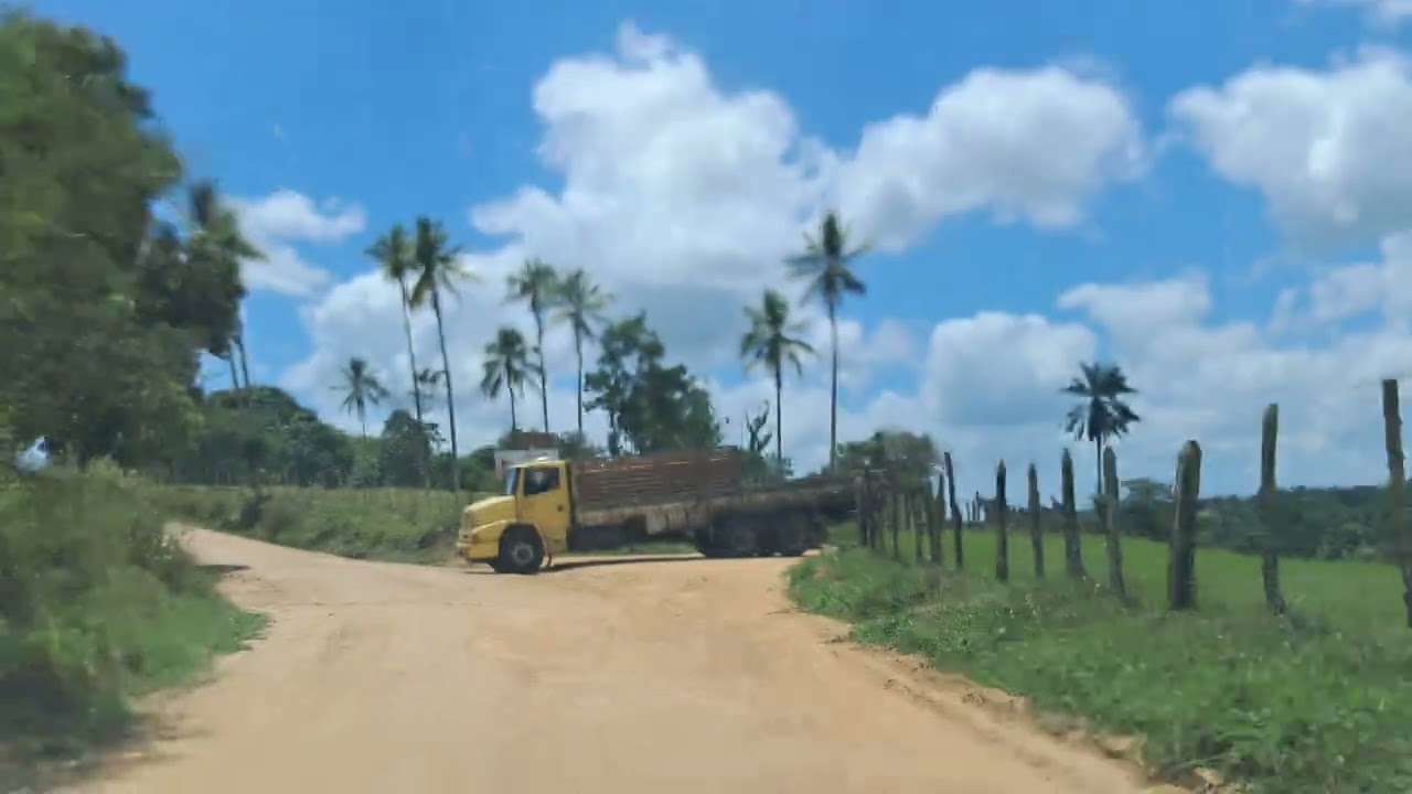 Sao Gonçalo via afligidos indo pelas flores 💐 