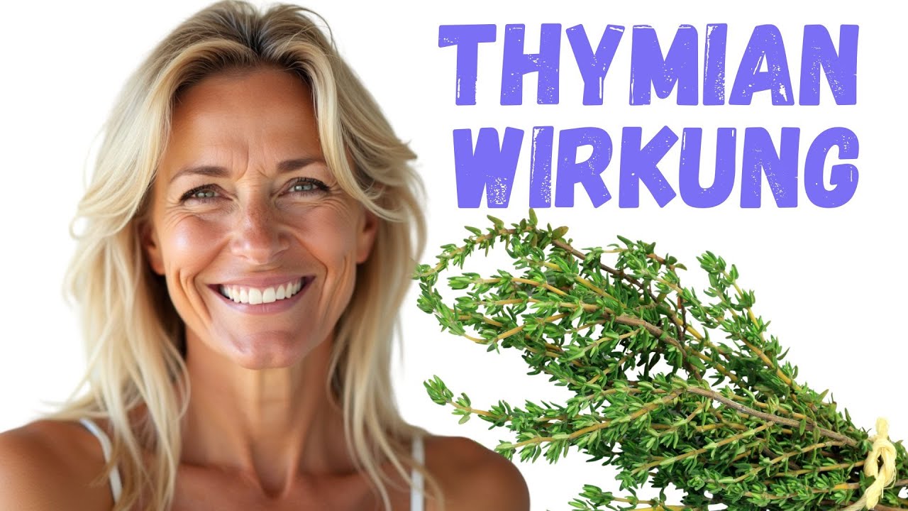 Thymian Wirkung 🌞 Anwendung, altes Wissen.