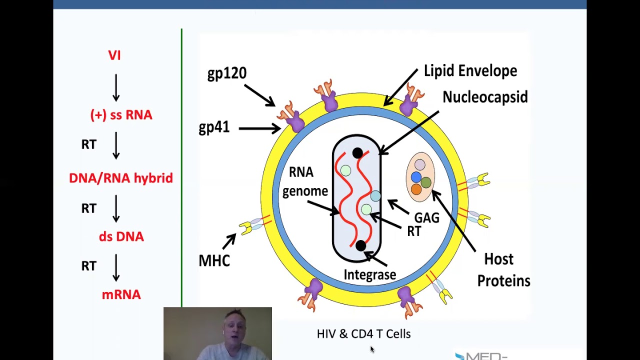 Med-Pathway MCAT Prep Virology. Dr. Phil takes you though high yield topics in viruses.