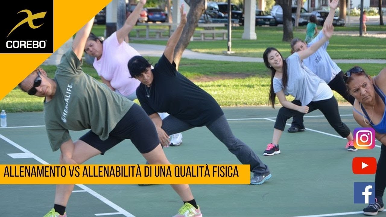 Allenamento e allenabilità: cosa sono?