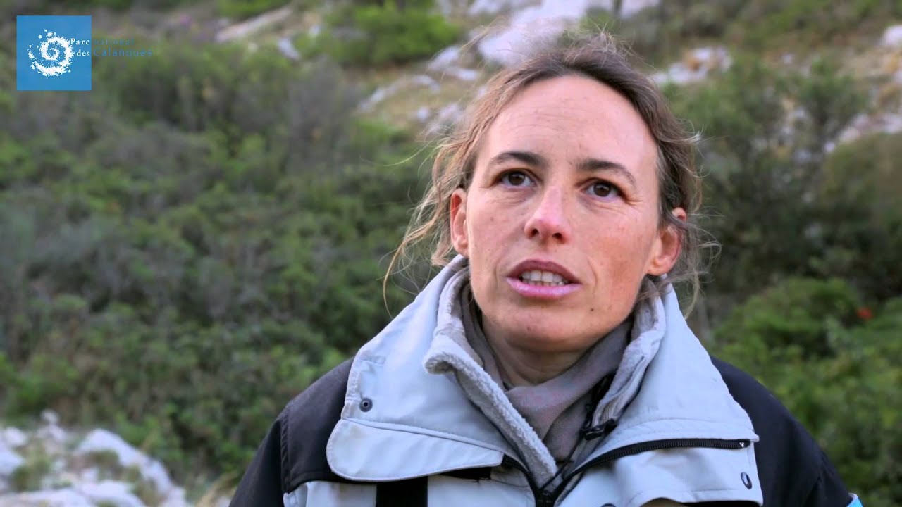 Web TV du Parc : La Flore du Littoral