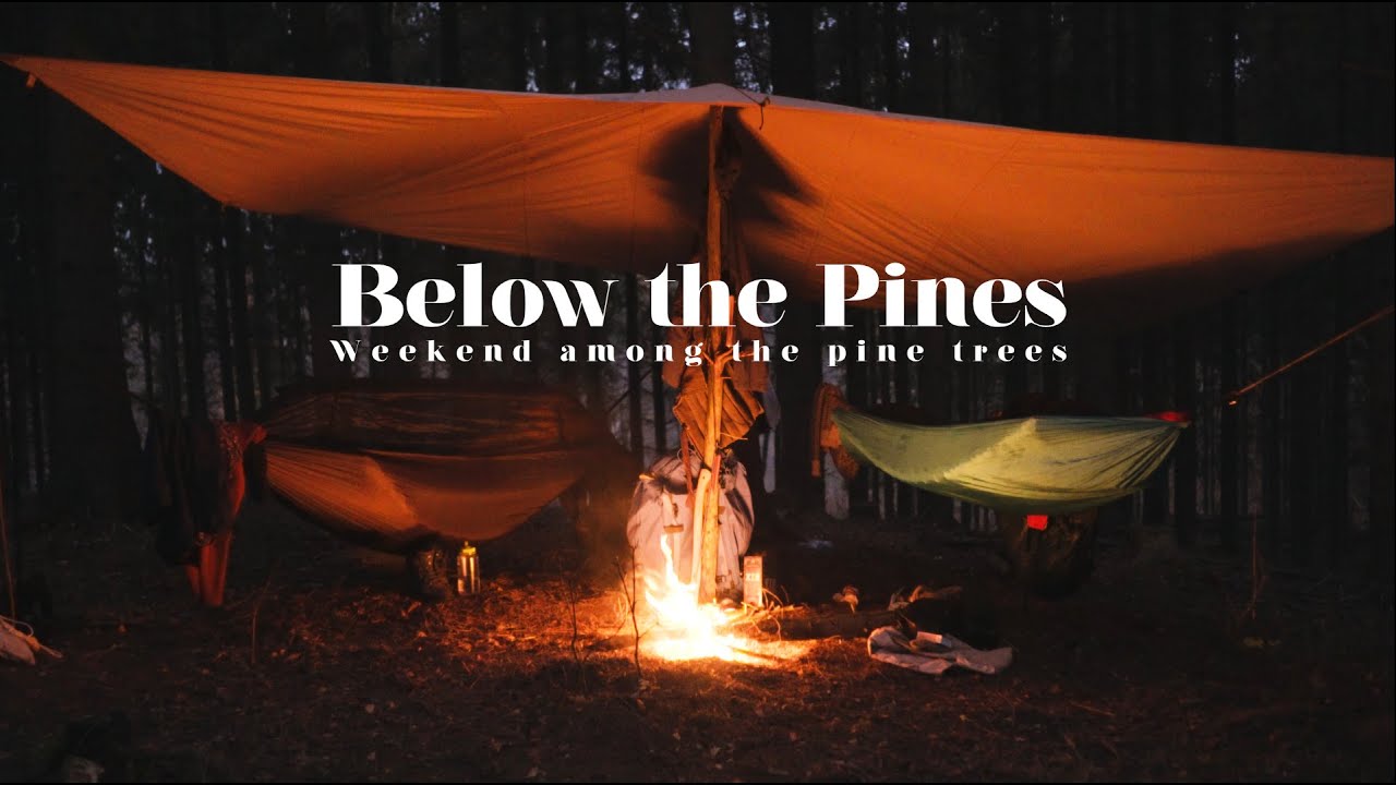 Below the Pines