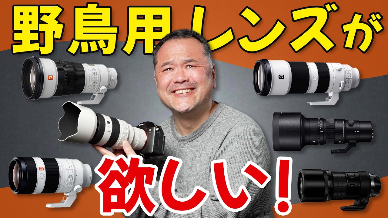 野鳥撮影にベストなレンズ５選！考えてみたけど...どれにしよう？