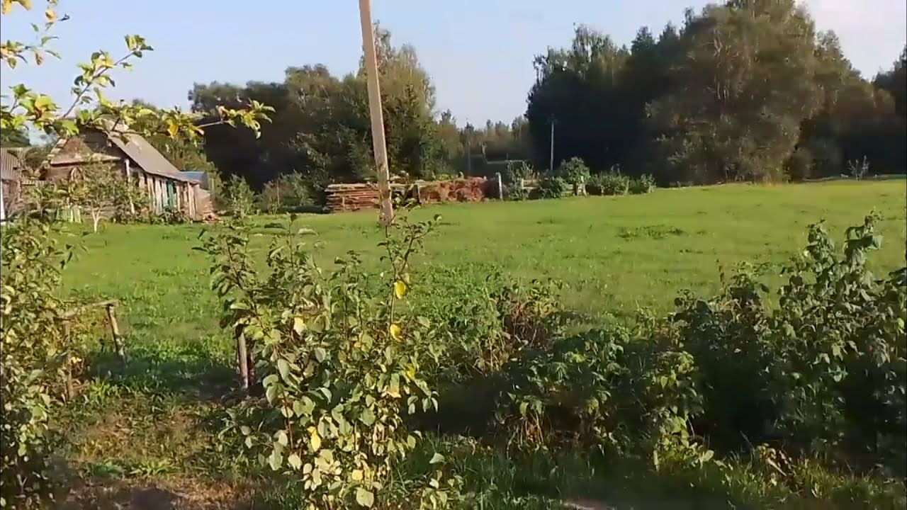 Уй 40м2, Ери 58 сотих, ГАЗ, Мактаб, Богча, Магазин. Посёлок Поречье, Великие Луки р-н 5.500$