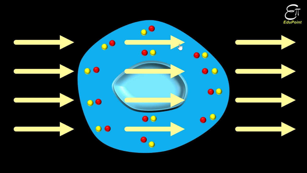 Electrostatic Shielding || Electrostatics of Conductors - 6