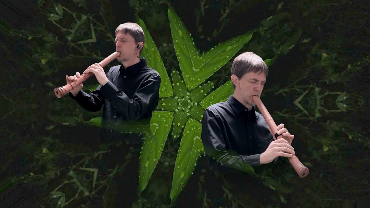 Shakuhachi  |  BLUE MOON TWINS  |  by Scott Jordan