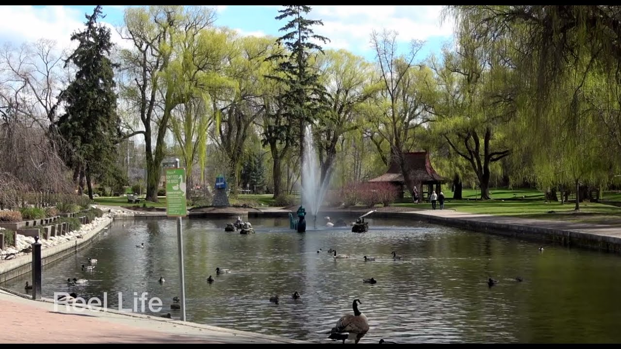 Just a spring day in Polson Park, Vernon, BC - 20 April 2022