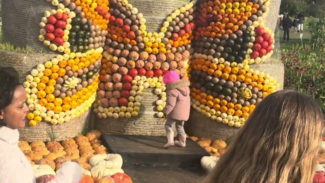 Kürbis laden in der Schweiz mit Blumen 