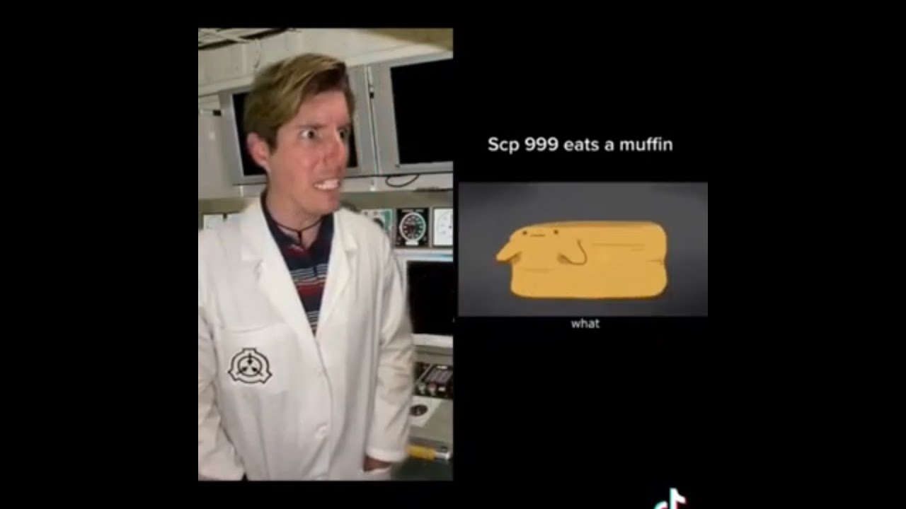 site_42 SCP TikTok compilation