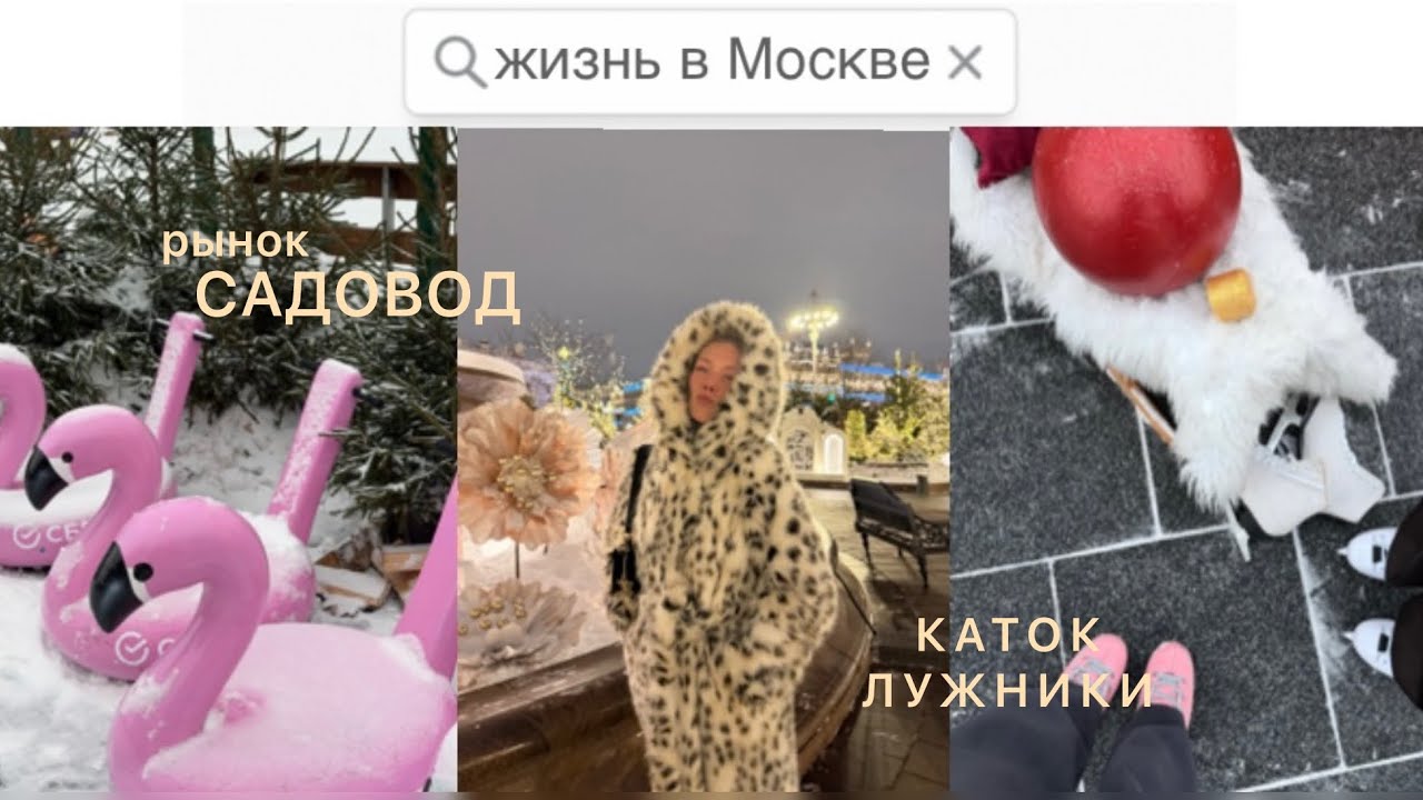 VLOG : ЗИМА | САДОВОД | КАТОК В ЛУЖНИКАХ | ОБЫЧНАЯ ЖИЗНЬ В МОСКВЕ ￼ 
