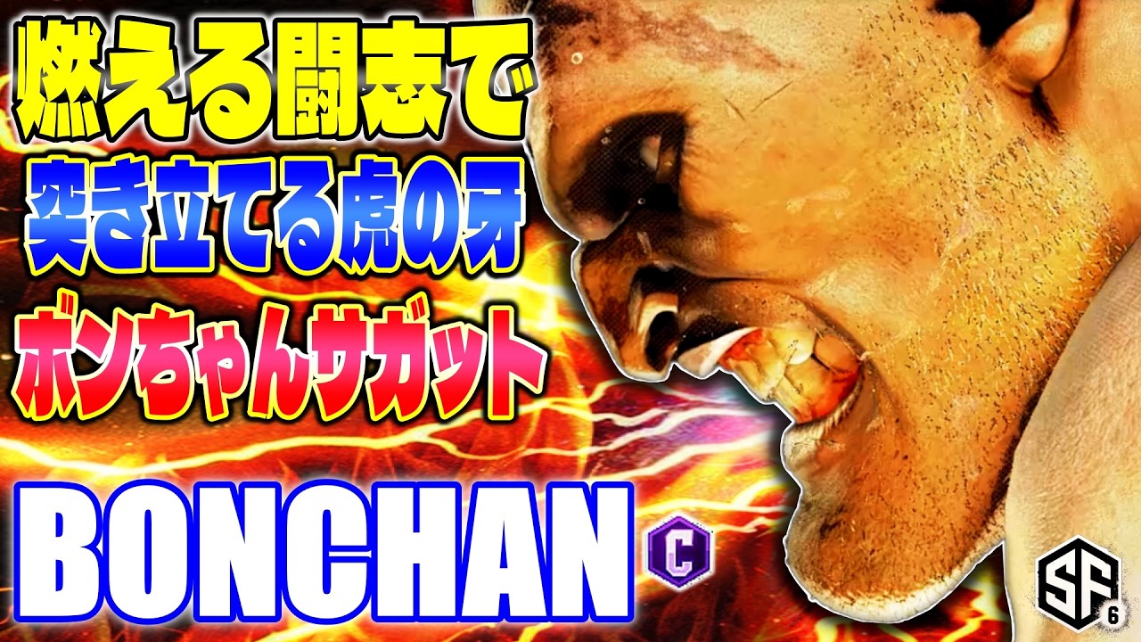 【スト6】燃える闘志で突き立てる虎の牙 ボンちゃんサガット ボンちゃん (サガット) 【SF6】