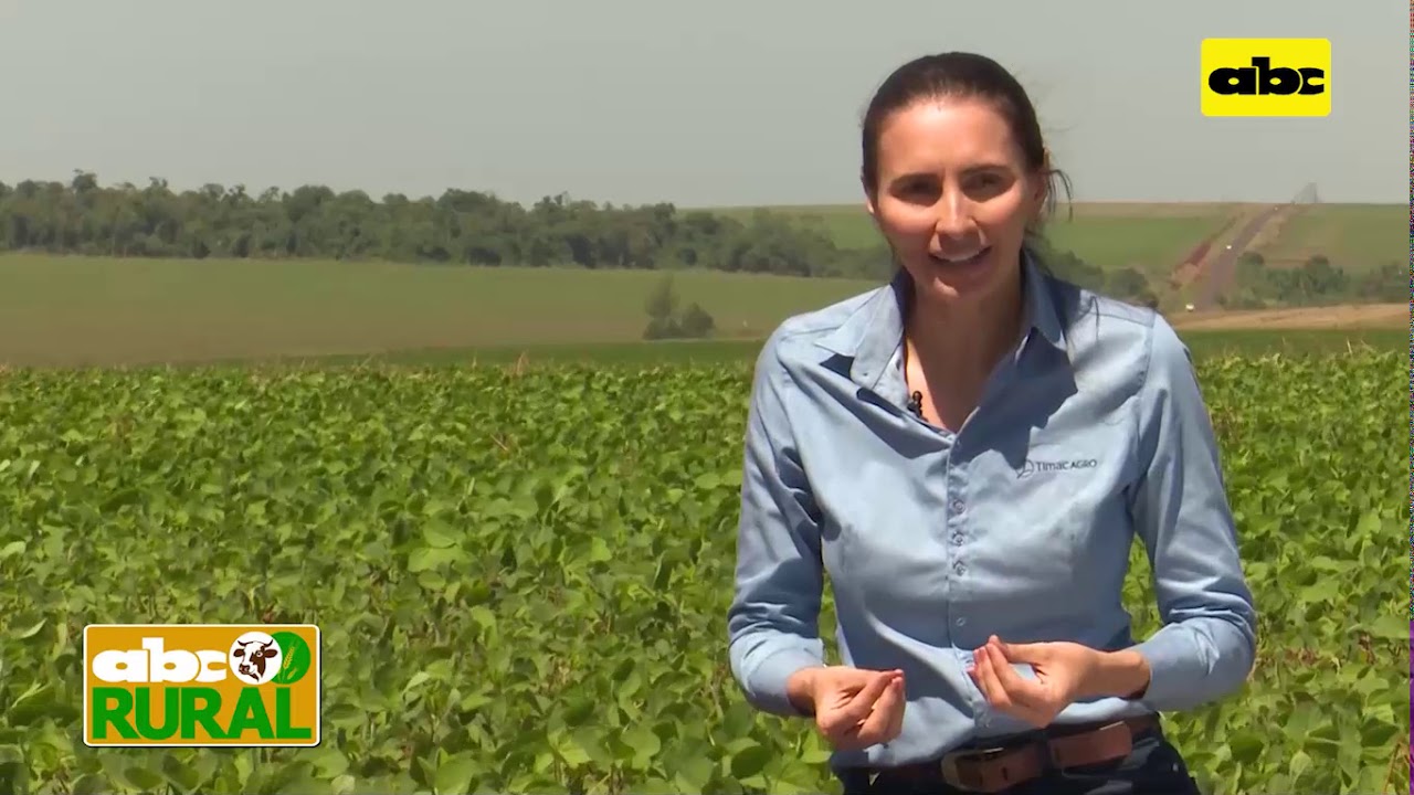Abc Rural: Cómo lograr un buen arranque del cultivo de soja II